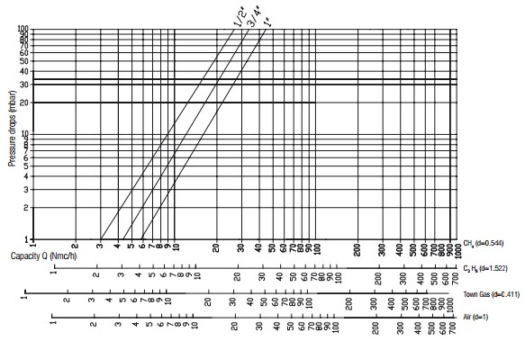 Flow diagram RG 2 bar filter-1