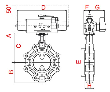 dimensions HFSV